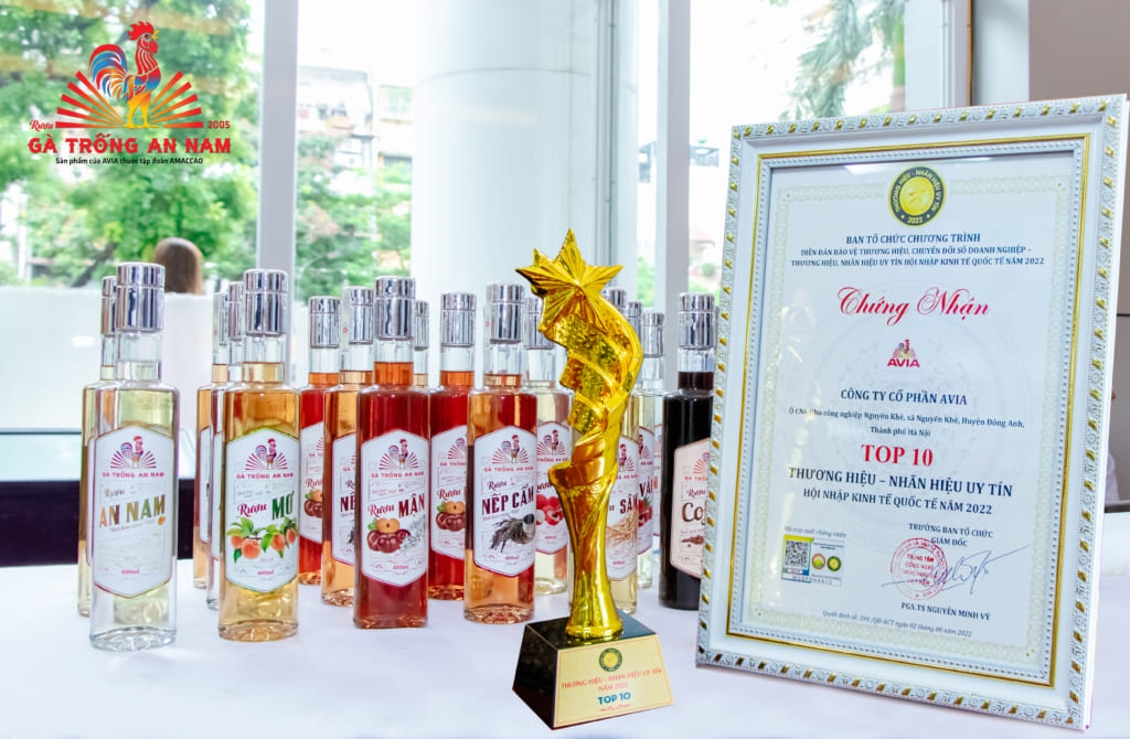 Cúp và chứng nhận TOP10 Nhãn hiệu - Thương hiệu Việt Nam