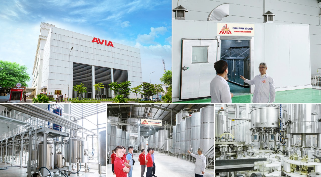 AVIA là một trong những nhà máy sản xuất rượu trong nước hiện đại bậc nhất khu vực Đông Nam Á
