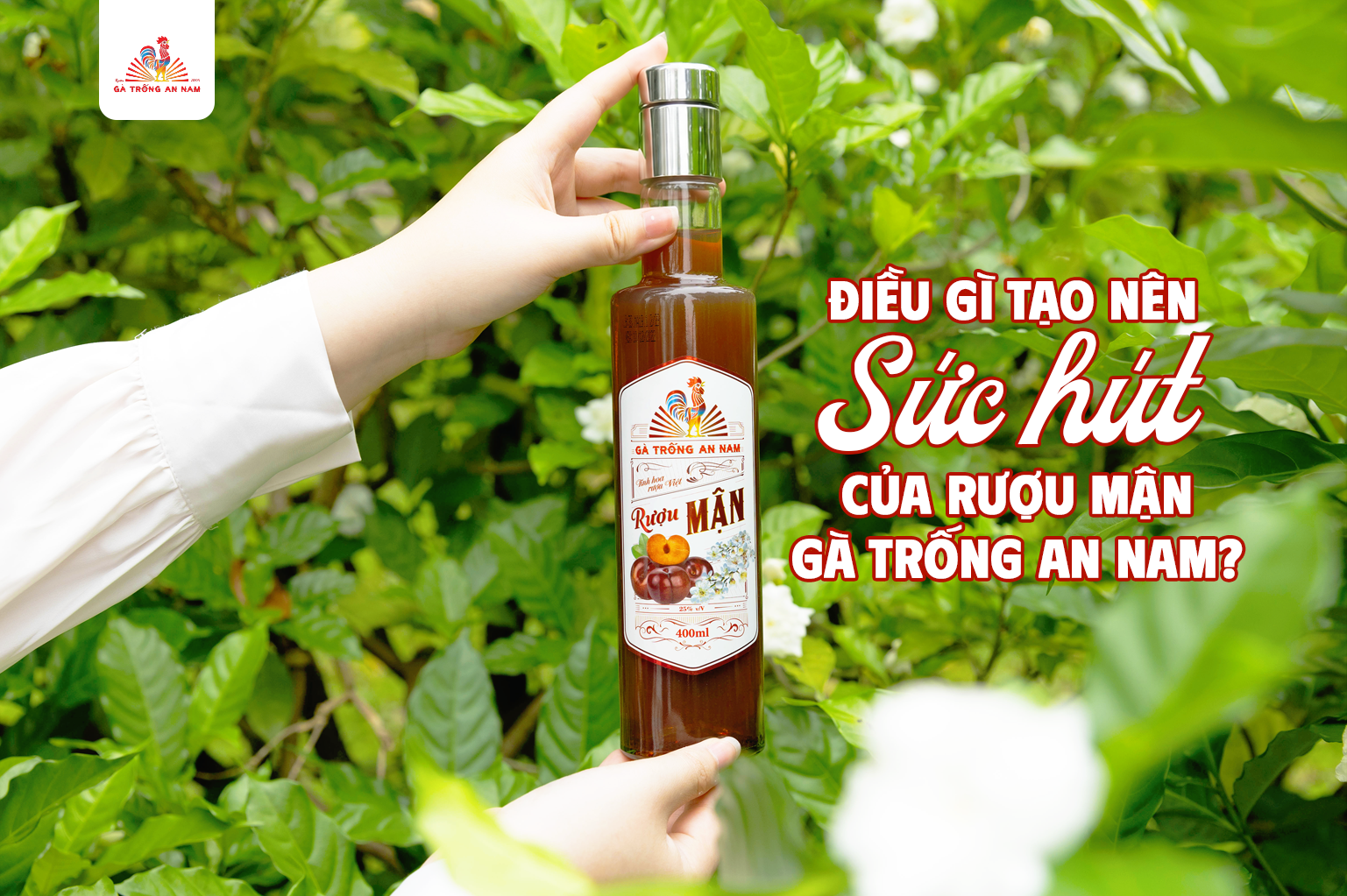 Điều gì tạo nên sức hút của Rượu Mận Gà Trống An Nam?