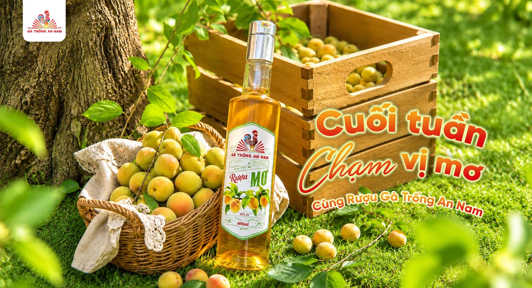 Cuối Tuần Có Hẹn, Mang Theo Một Chút Vị Mơ Cùng Rượu Mơ Gà Trống An Nam